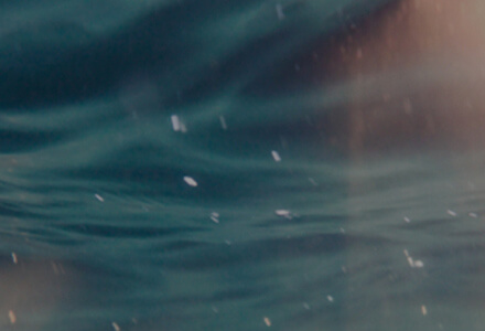 Z6·尊龙「中国」官方网站