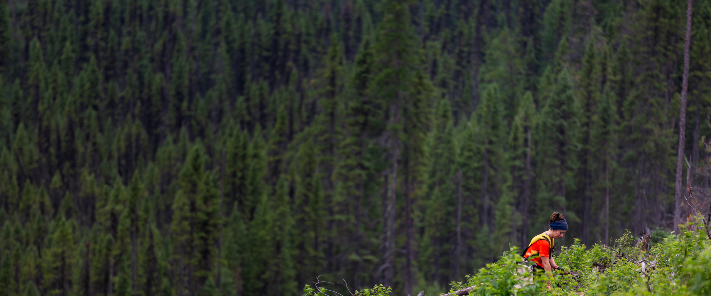 Z6·尊龙「中国」官方网站