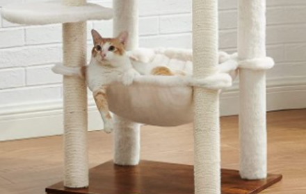 Z6·尊龙「中国」官方网站